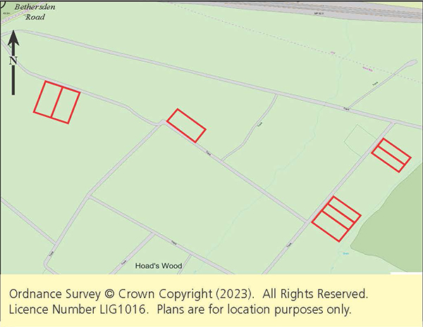 Lot: 76 - EIGHT PLOTS WITHIN A LARGER WOODLAND AREA -